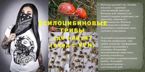 прущая мука Сафоново