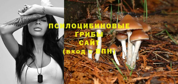 молекула духа Белоозёрский