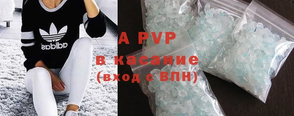 дмт Белокуриха